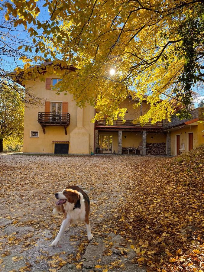 Agriturismo San Lorenzo Di Persegno Villa Toscolano Maderno Dış mekan fotoğraf