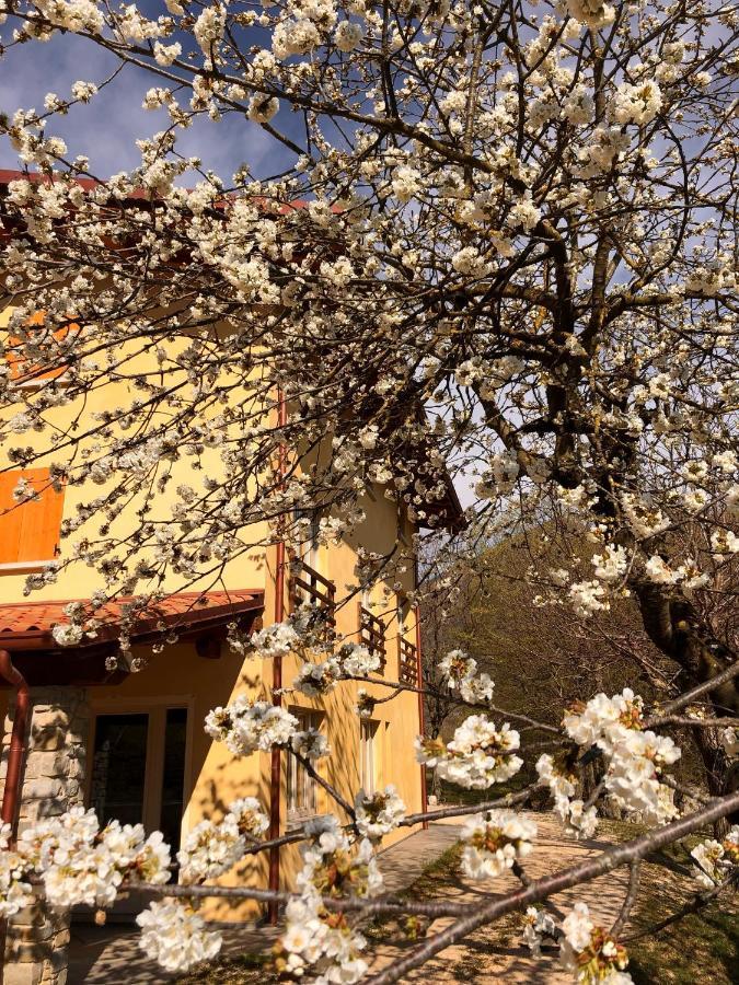 Agriturismo San Lorenzo Di Persegno Villa Toscolano Maderno Dış mekan fotoğraf