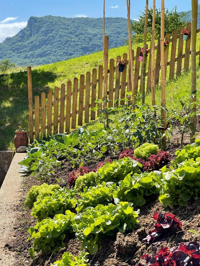 Agriturismo San Lorenzo Di Persegno Villa Toscolano Maderno Dış mekan fotoğraf